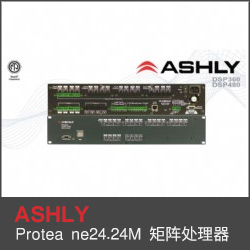 Protea ne24.24M 矩陣處理器