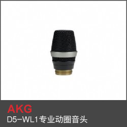 D5-WL1專業動圈音頭