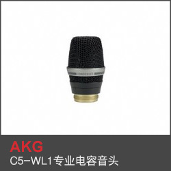 C5-WL1專業電容音頭