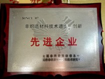 非織造材料技術(shù)進(jìn)步、創(chuàng)新－先進(jìn)企業(yè)